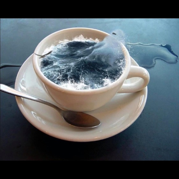 Meet your Posher, Sara - Picture 1 of 1